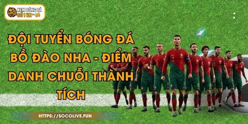 Đội Tuyển Bóng Đá Bồ Đào Nha - Điểm Danh Chuỗi Thành Tích